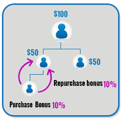 Advance MLM Binary Plan Script purchase bonus repurchase bonus