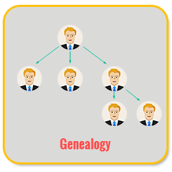 Bitcoin MLM Software genealogy