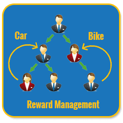 Basic Unilevel Investment MLM Software reward management