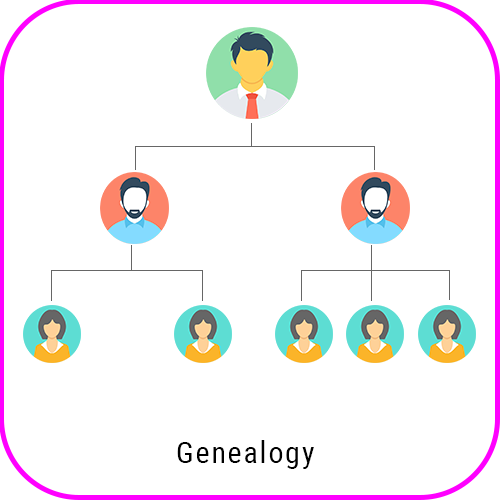 Hybrid MLM genealogy 1