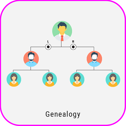 Spillover Binary Plan Software genealogy