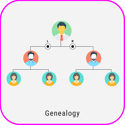 Genealogy