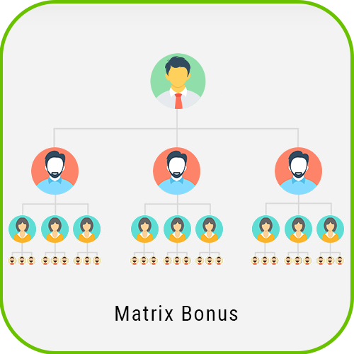 Matrix Bonus