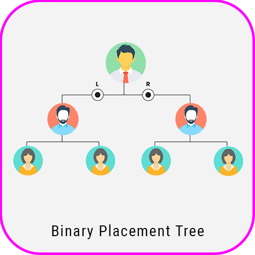 Spillover Binary Plan Software spill over binary pacement tree